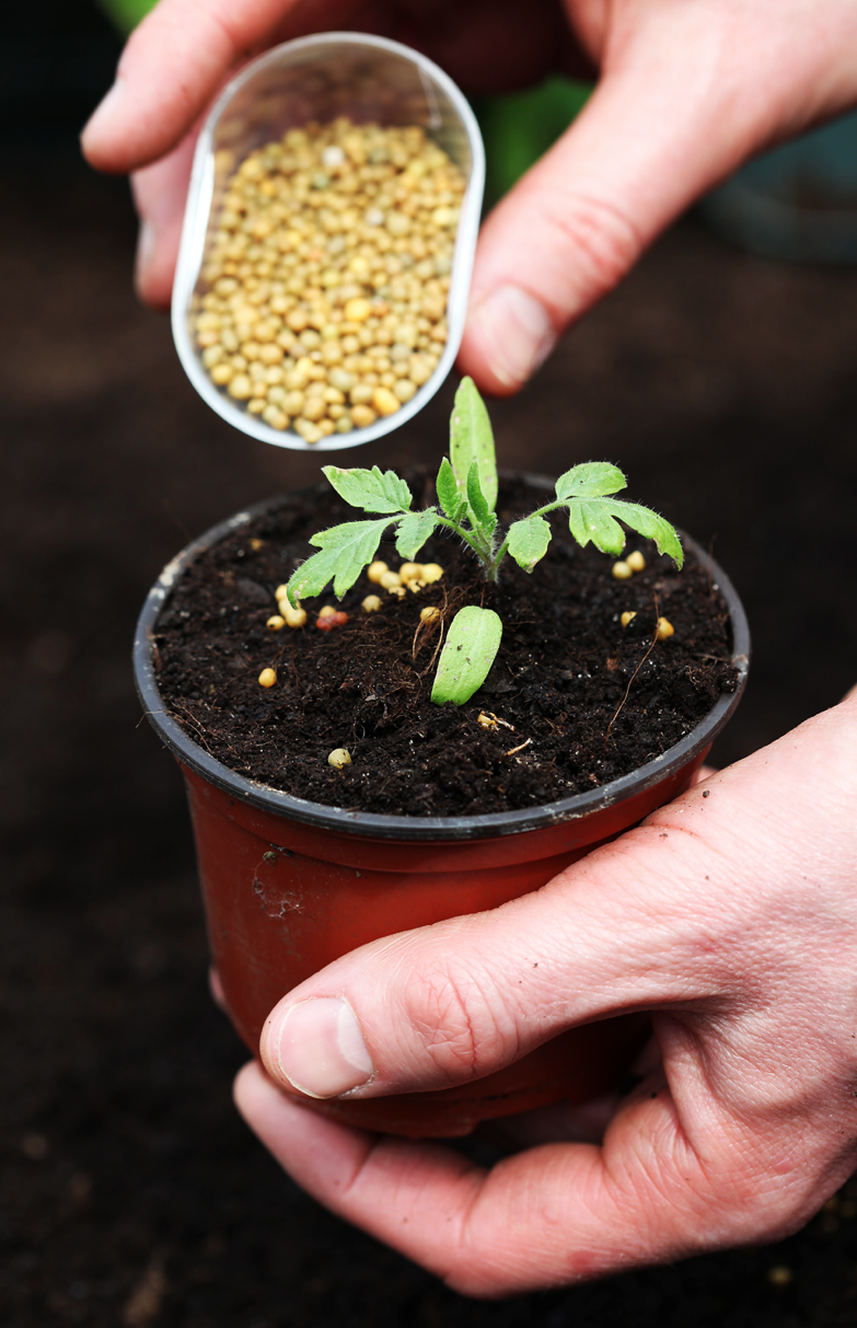 Getting Started Using Buying and Applying Organic Fertilizers